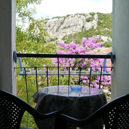 Apartment Dragovic Клек Екстериор снимка